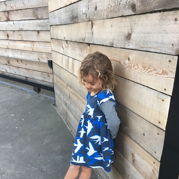 Meet your Posher, Carma - Picture 1 of 1